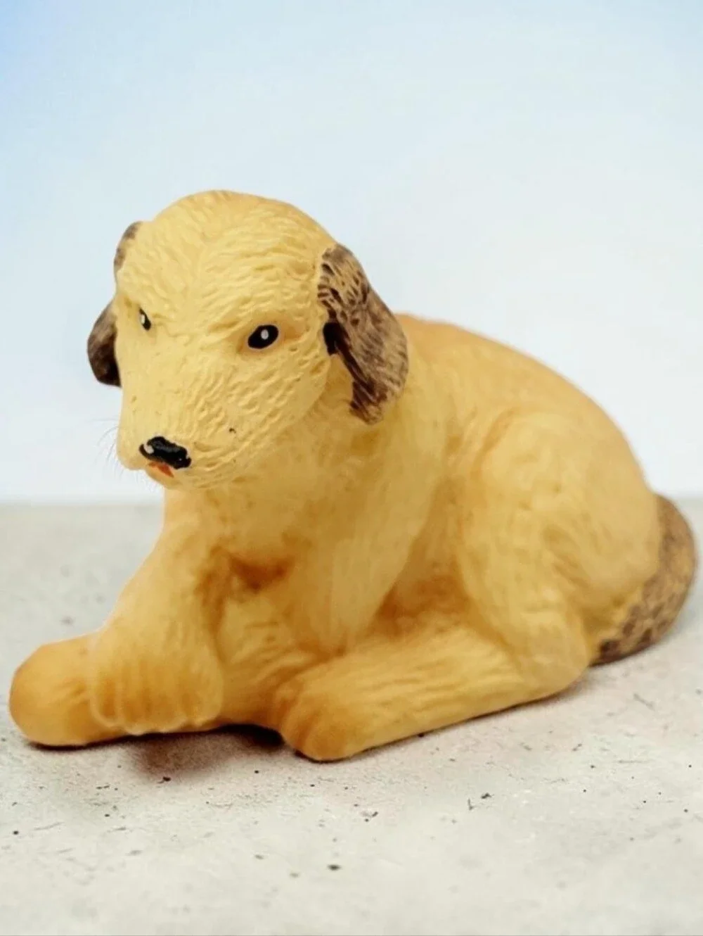 Spaniel Retriever 1
